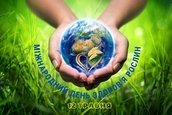 12 травня - Міжнародний День здоров’я рослин!