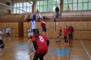 Козятинські волейболістки - срібні призерки Чемпіонату ВФСТ "Колос"