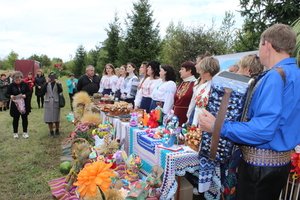 Гостинно, смачно, із вишивками та піснями – виставка світлиць старостинських округів Козятинської громади