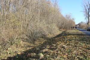 Робоча поїздка до Кордишівського старостинського округу: моніторинг інфраструктури та перспективи розвитку