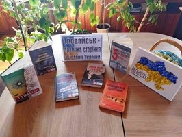 Козятинською бібліотекою підготовлено книжкову виставку-пам’ять: «Героїчний шлях Українського воїна»