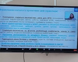 22 червня відбулась консультаційна зустріч з координаторкою ПРООН Анастасією Ланіною