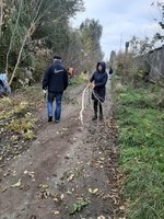 Розпорядженням секретаря ради 25 жовтня 2024 року оголошено акцію з благоустрою на території громади 