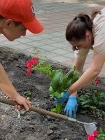 Оновлений квітник у подарунок місту 