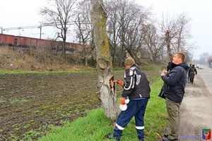 Небезпечні дерева Козятинської громади обстежувала комісія
