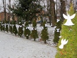 Сьогодні у місті біля пам'ятного знаку загиблим-воїнам захисниками України розпочалась тиха акція "Ангели пам'яті"