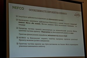 Капітальний ремонт мереж вуличного освітлення у громаді – суть інвестиційного проекту міської ради у рамках програми НЕФКО «Енергозбереження»