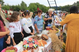 Смачно, пісенно, гостинно: до 30-ї річниці Незалежності України у Козятині відбулася виставка-ярмарок світлиць сіл громади