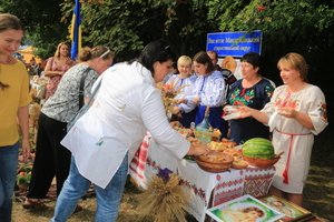 Смачно, пісенно, гостинно: до 30-ї річниці Незалежності України у Козятині відбулася виставка-ярмарок світлиць сіл громади