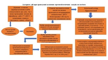 3 26 КВІТНЯ ПО 05 ТРАВНЯ БУДЕ ТРИВАТИ ЩОРІЧНА ПЛАНОВА КАМПАНІЯ ПРОТИЕПІЗООТИЧНИХ ЗАХОДІВ НА ПАСІКАХ КОЗЯТИНСЬКОЇ МІСЬКОЇ ТЕРИТОРІАЛЬНОЇ ГРОМАДИ