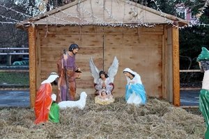 Напередодні Різдвяних свят в Козятині встановили вертеп