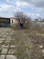 Ветерани Кордишівки показали приклад молодим