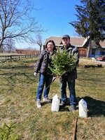 400 нових дерев у Козятинській громаді – участь у проекті озеленення
