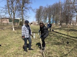 400 нових дерев у Козятинській громаді – участь у проекті озеленення