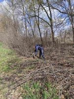 Суботник продовжується і у понеділок