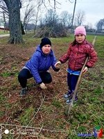 Активісти висадили у Сокільці нові дерева