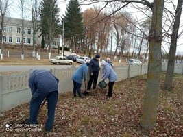 Сестринівка долучилася до Всеукраїнського проекту «Озеленення України»