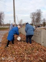 Сестринівка долучилася до Всеукраїнського проекту «Озеленення України»