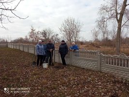 Сестринівка долучилася до Всеукраїнського проекту «Озеленення України»