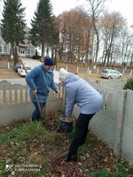 Сестринівка долучилася до Всеукраїнського проекту «Озеленення України»