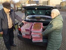 Друзі, хочемо познайомити вас із дивовижною жінкою, волонтеркою – Валентиною Лясківською 