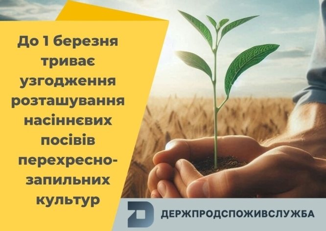 Узгодження план-схем розташування насіннєвих посівів перехреснозапильних культур в 2025 році